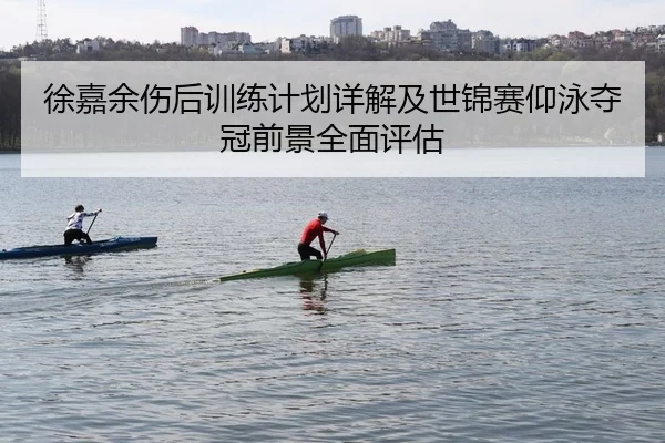 徐嘉余伤后训练计划详解及世锦赛仰泳夺冠前景全面评估